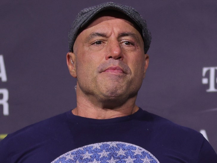 Joe Rogan Rips Himself In Stand-Up Routine, Tackles Podcast Controversies