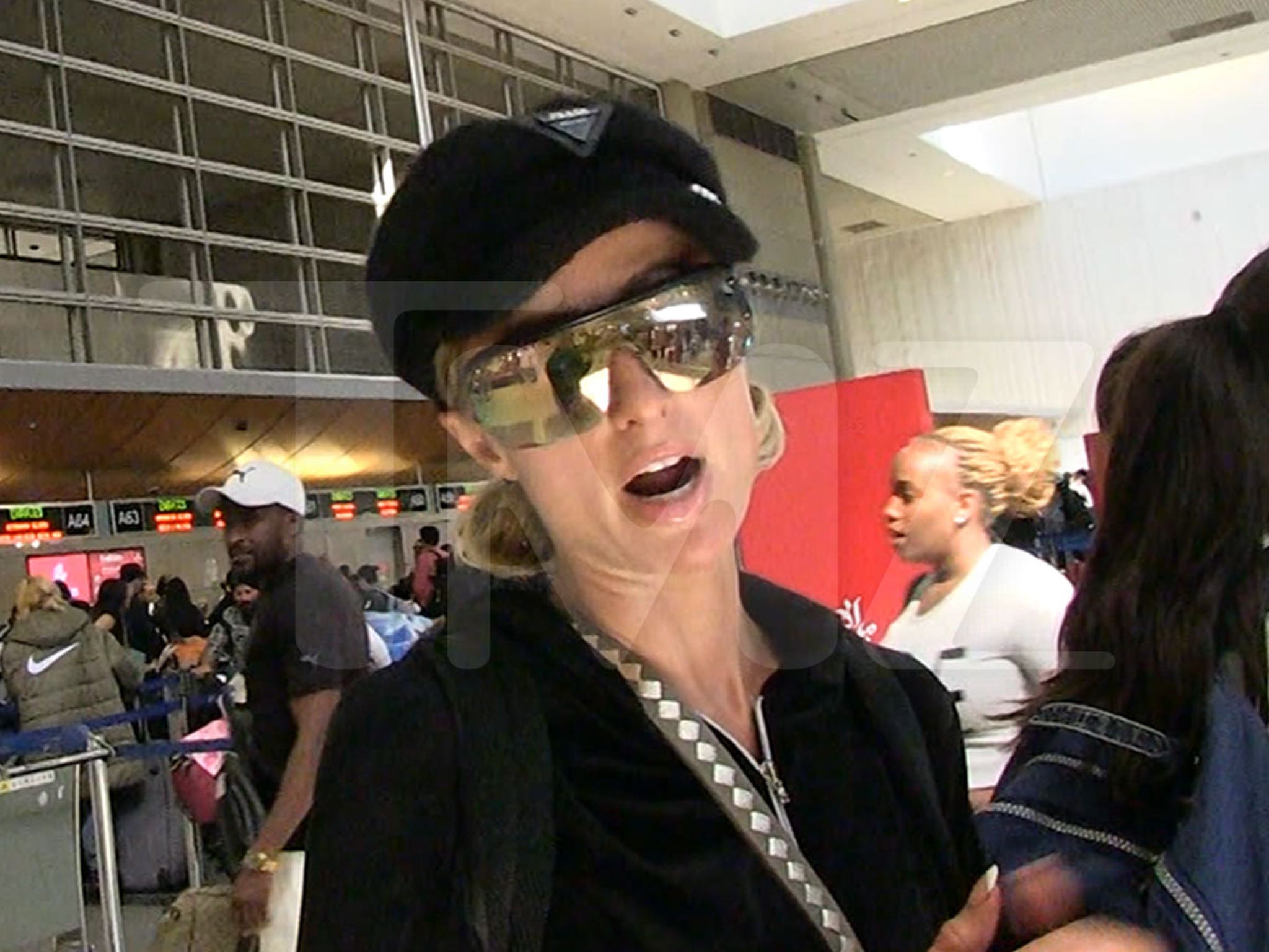 Paris Hilton Believes Her Missing Dog Is Still Alive, Says Pet Psychics Agree - TMZ (Picture 1)
