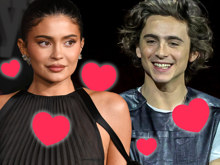 Timothée Chalamet and kylie jenner