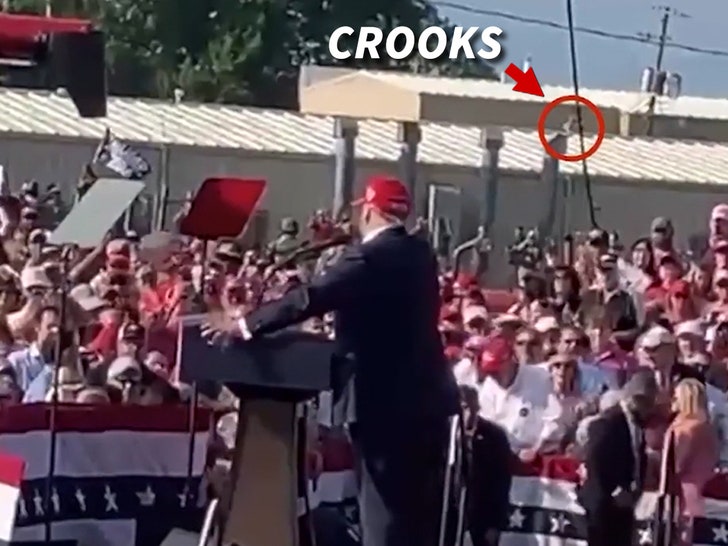 Thomas Matthew Ladrones en el tejado