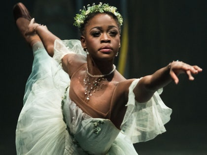 Remembering Michaela DePrince Gall Launch