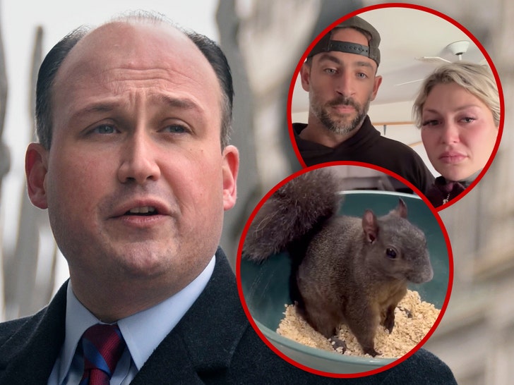 New York Congressman Demands Answers From Governor About Peanut the Squirrel