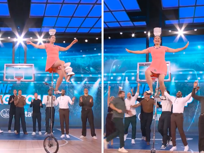 Red Panda Makes Her Much Anticipted Return After Breaking Her Wrist