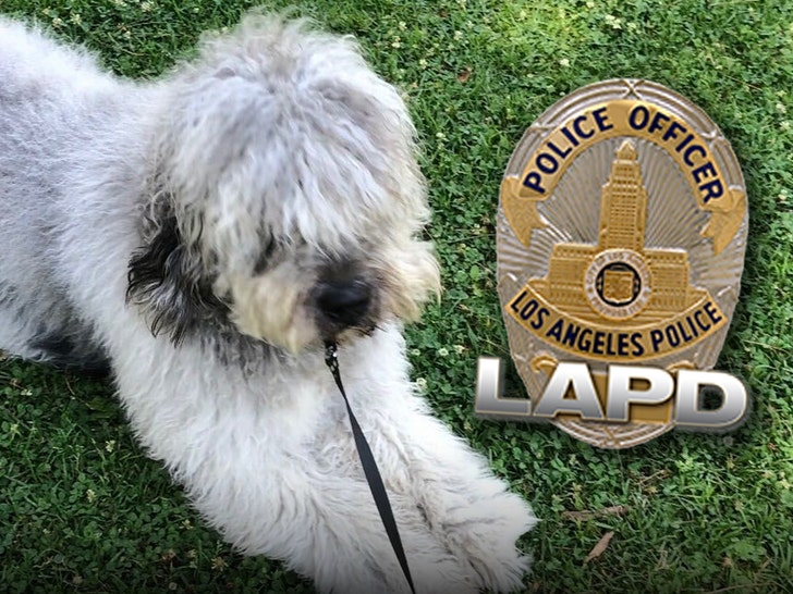 main-jameson-lapd-1
