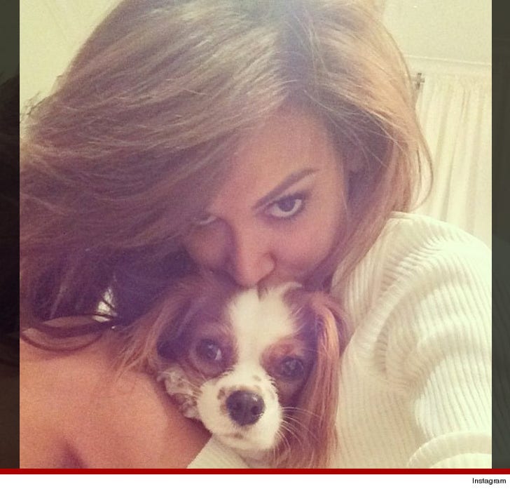 Celebrity Dogs Living Better Than You On National Puppy Day :: 0323-puppy-pic-35