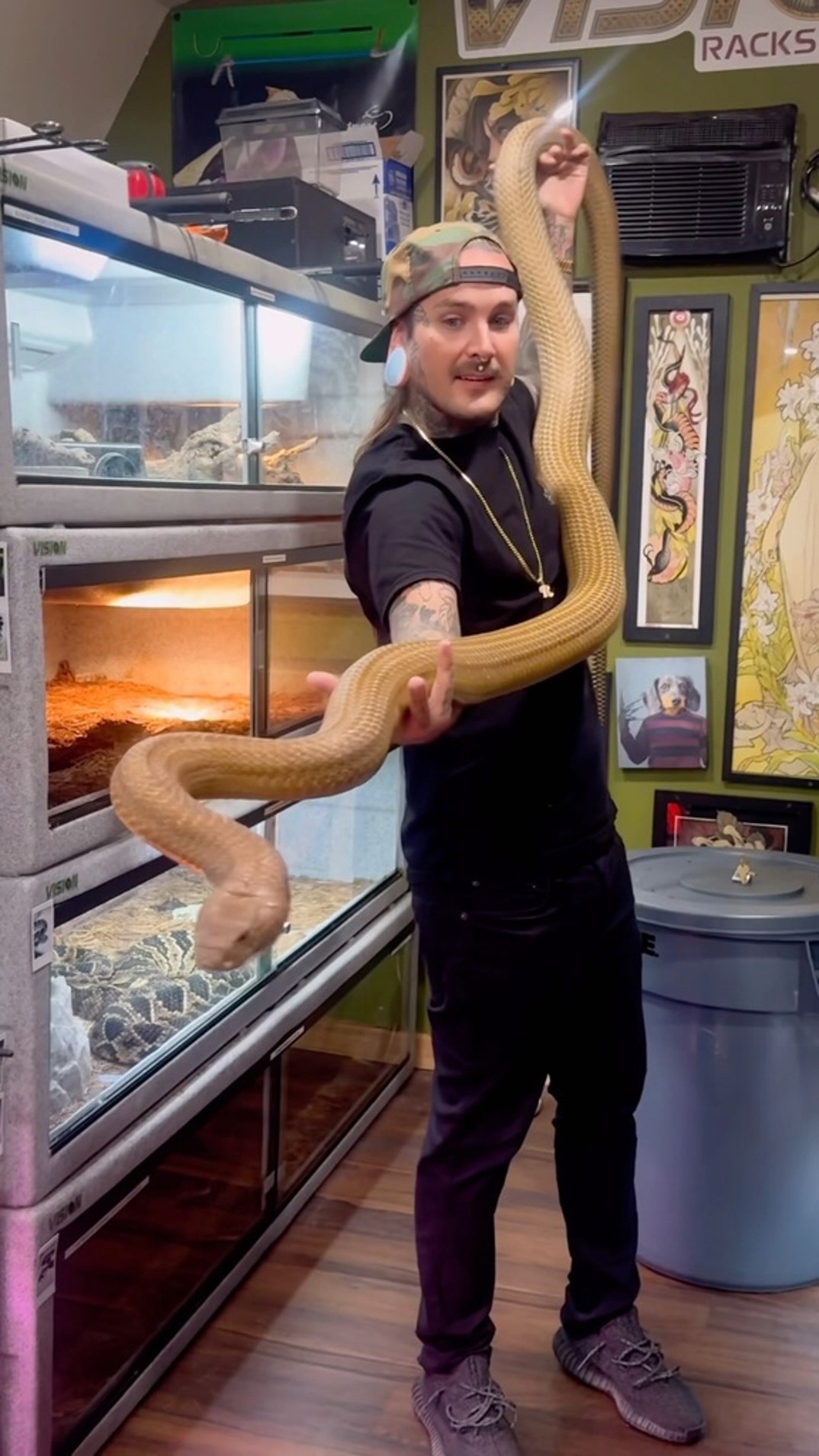 Tyler Noal Through The Years 2