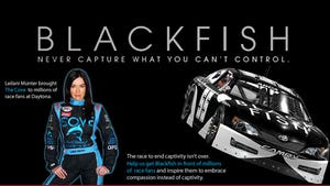 NASCAR Driver -- Gunning to Race 'Blackfish' Car ... At Talladega