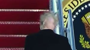 President Trump's Hair Meets Stiff Wind, Hair Loses Badly