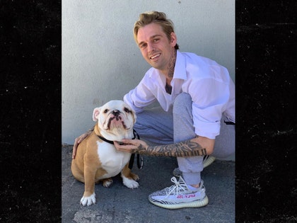 0804 aaron carter dog adoption insta gram 01