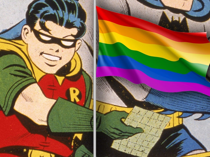 robin pride flag