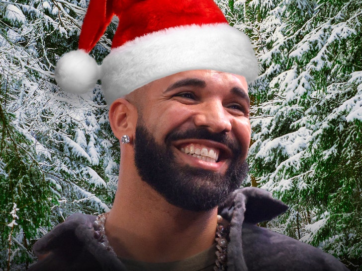 bulu imitasi drake natal