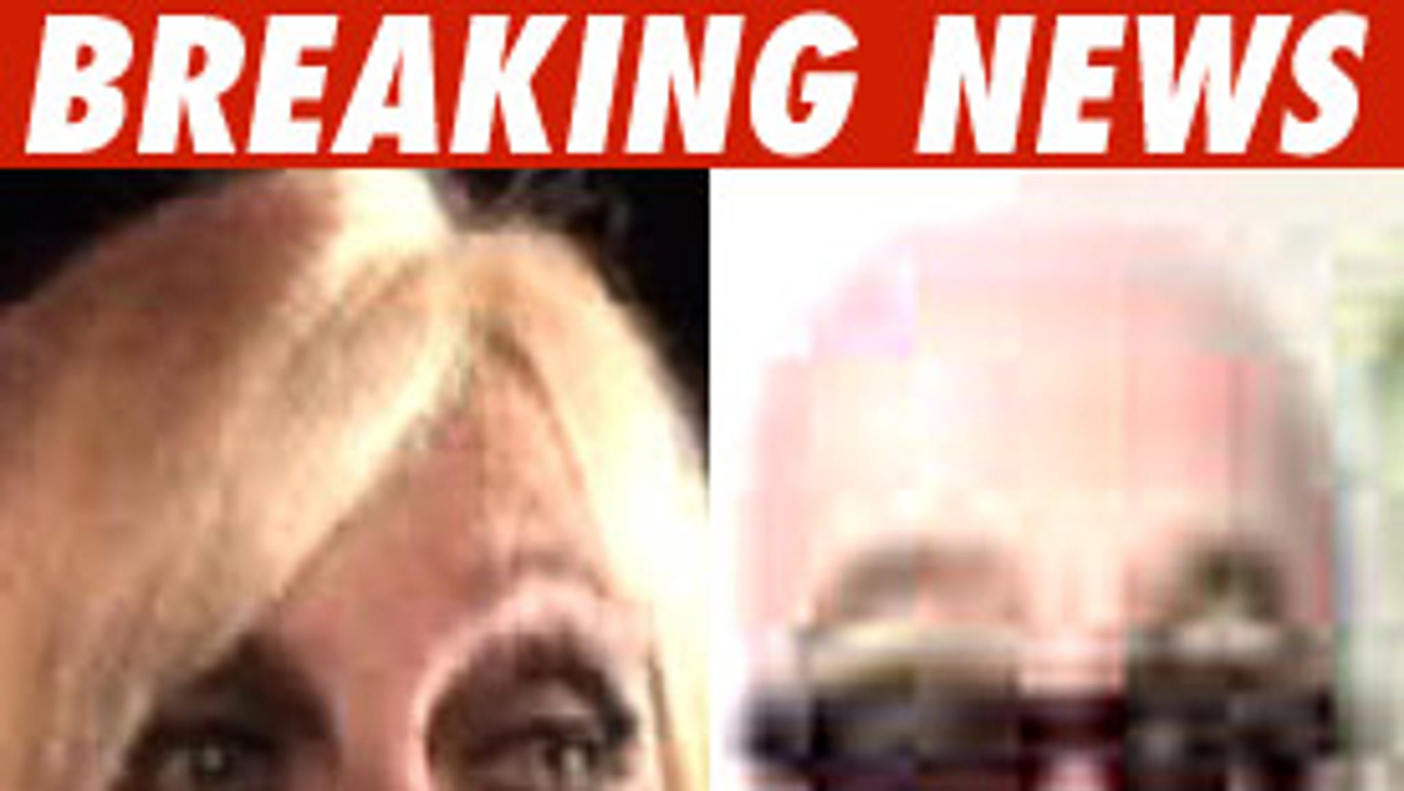 Hulk Hogan Claims Linda Blows Alimony On Drugs