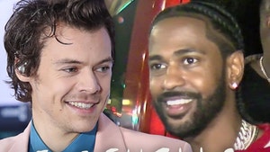 Big Sean Coachella Crowd Rivals Harry Styles in Size, Competing Headliner?