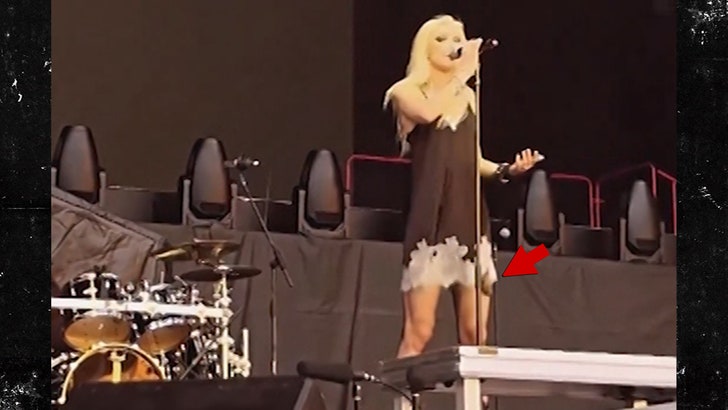 ‘Gossip Girl’ Star Taylor Momsen Bitten by Bat Onstage, Gets Rabies Shots