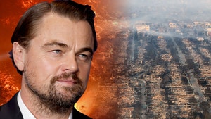 la fires donation leonardo dicaprio