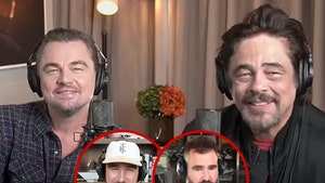 Leonardo DiCaprio and Benicio Del Toro