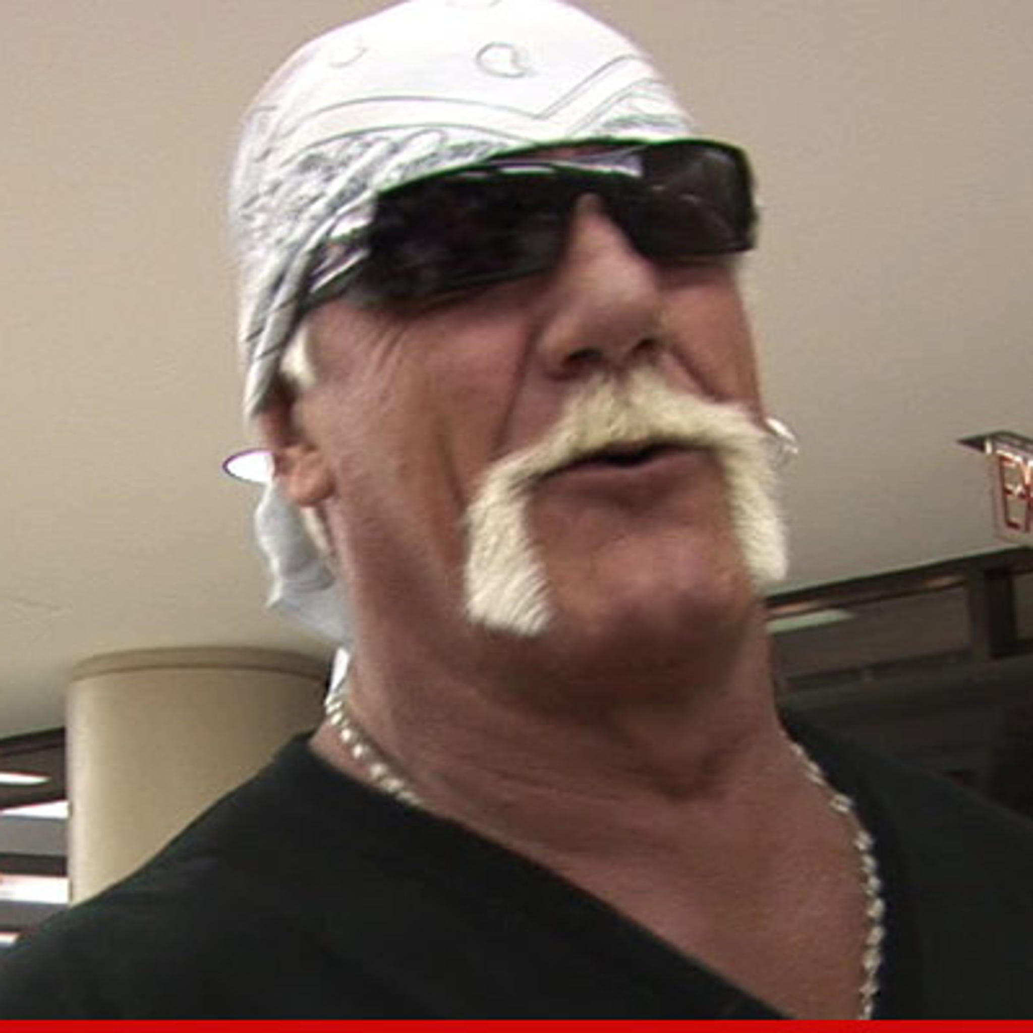 Hulk Hogan to Cops -- Help Me Find the Bastard Who Leaked My Sex Tape