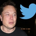Twitter Sues Elon Musk for Backing Out of Purchase