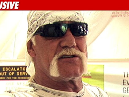 1214-hulk_hogan_EX_TMZ