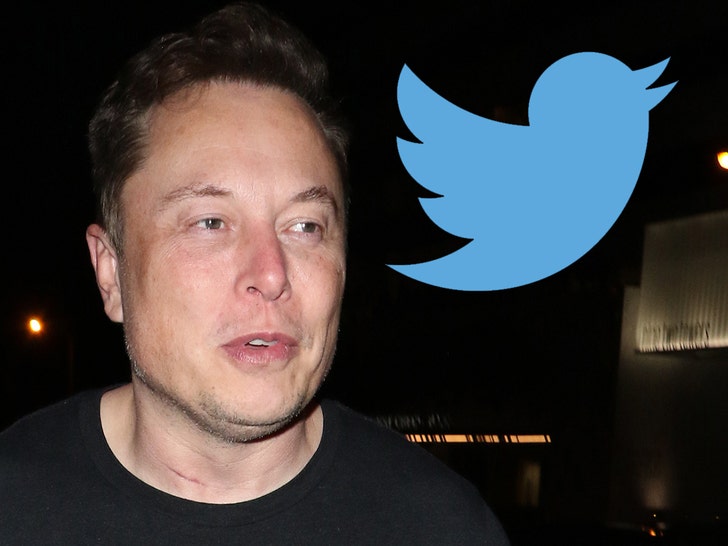 Twitter, Elon Musk'a Satın Almadan Döndüğü İçin Dava Açtı