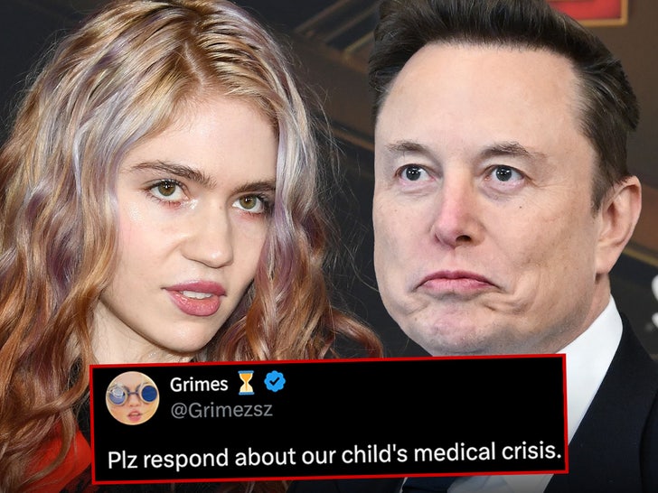 Grimes Elon Musk Tweet Main Getty Composite