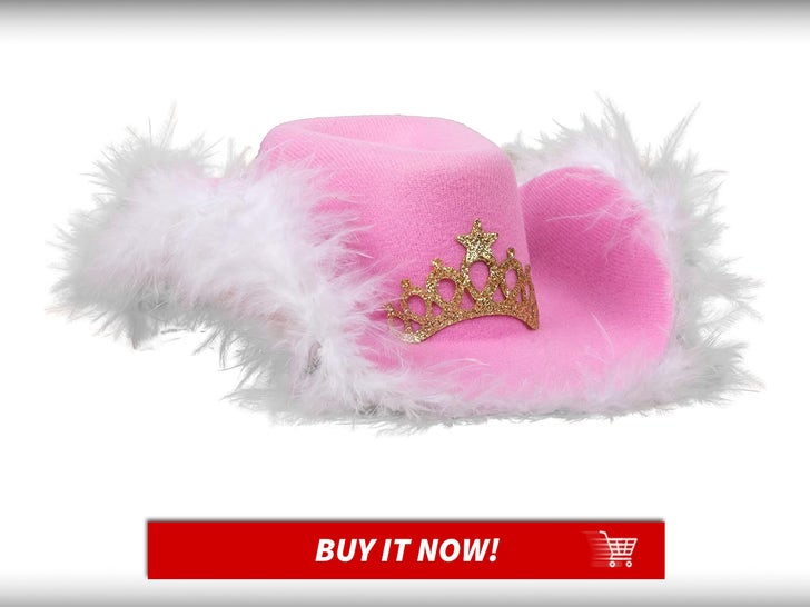 Doggy-Parton-Pink-Cowgirl-Hat-Celeb-Pet-Products-MAIN
