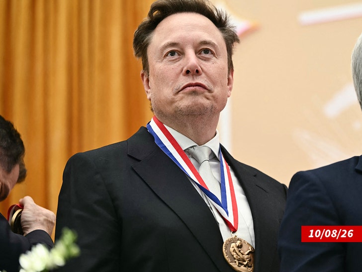 elon musk sub getty