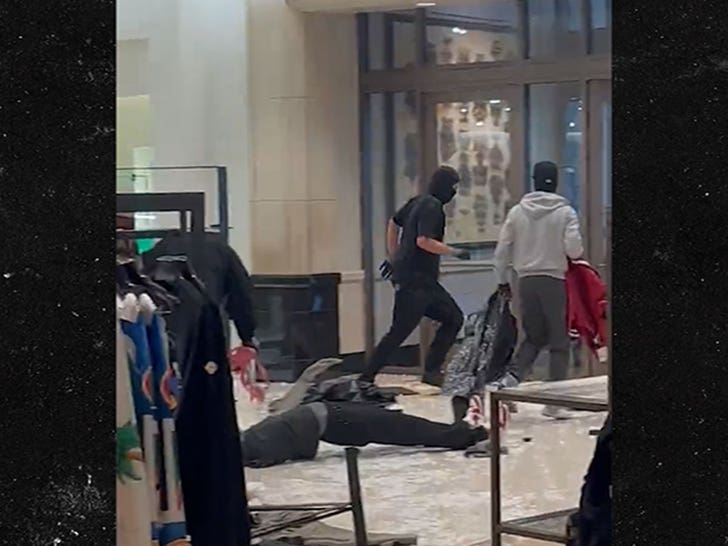 Dozens of People Ransacked Nordstrom in Smash-and-Grab Looting: Police
