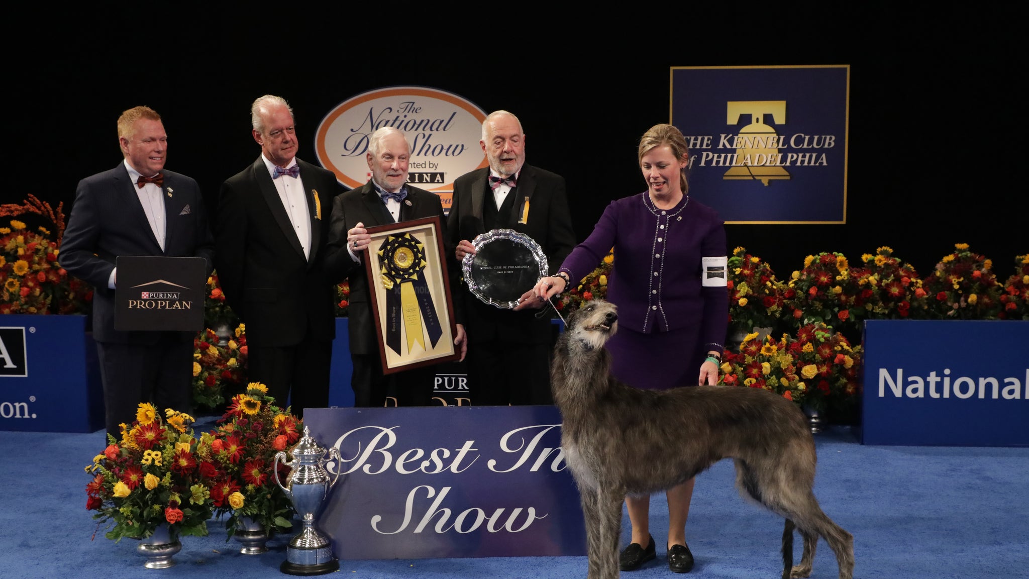 2021 Purina National Dog Show