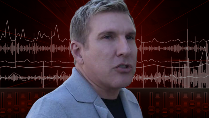 Todd-Chrisley-TMZ-audio