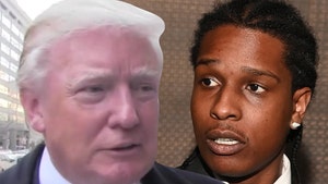 Donald Trump Threatened Trade War Against Sweden Over A$AP Rocky Arrest