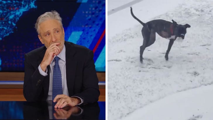 Jon Stewart Helps NYC Animal Shelter Raise $25K After Tearful Dog Tribute