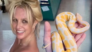 britney spears snake insta 1