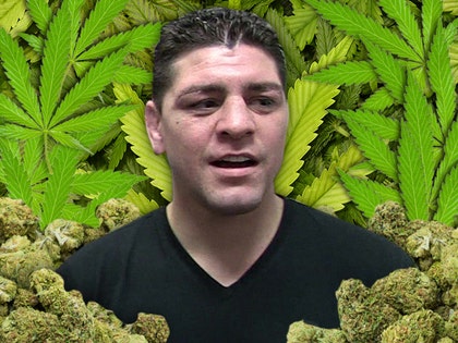 1130-nick-diaz-weed-marijuana-fun-art-TMZ-01