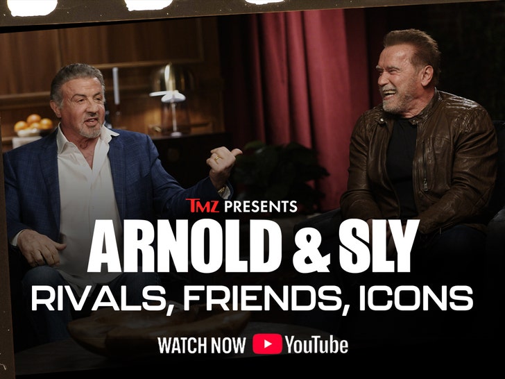 arnold and sly rivals friends icons 1200x900 youtube