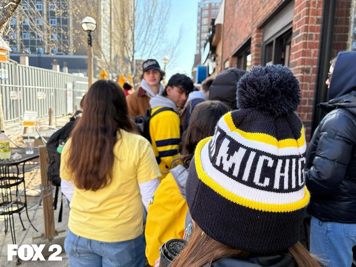 michigan-fans-fox-2-3