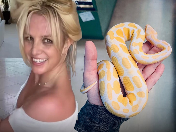 Britney Spears on a ‘Spiritual Journey’ Post-DUI Plea Deal, Posts Photo of Snake