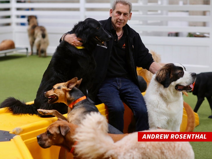 Andrew Rosenthal la dogworks