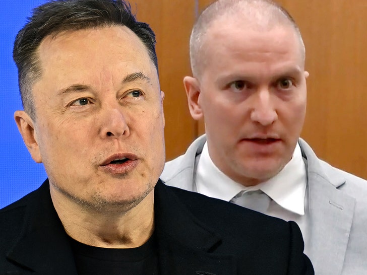 elon musk derek chauvin getty shutter
