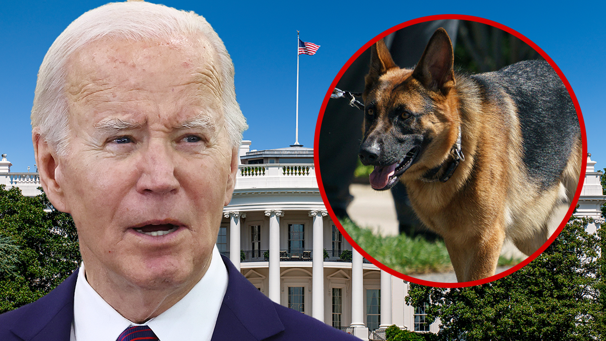 President Biden's commanding dog bit Secret Service agents 24 times