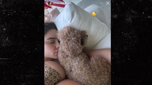 olivia culpo pregnant belly and dog instagram