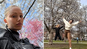 0407-Cherry-Blossom-Stars-HERO