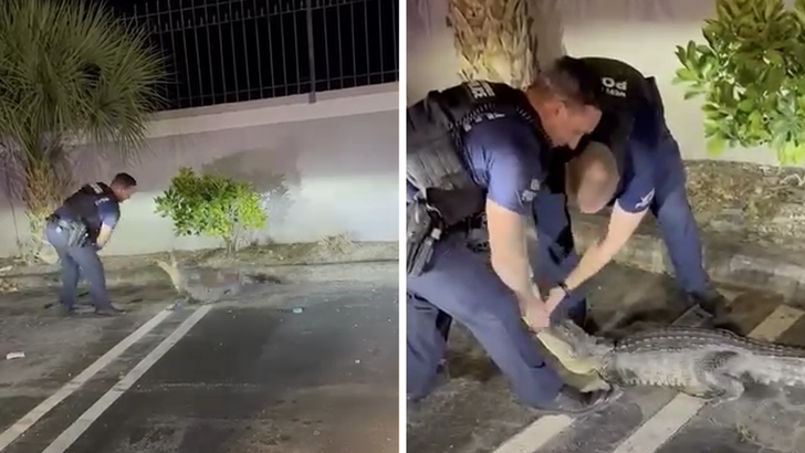 042226 police alligator kal