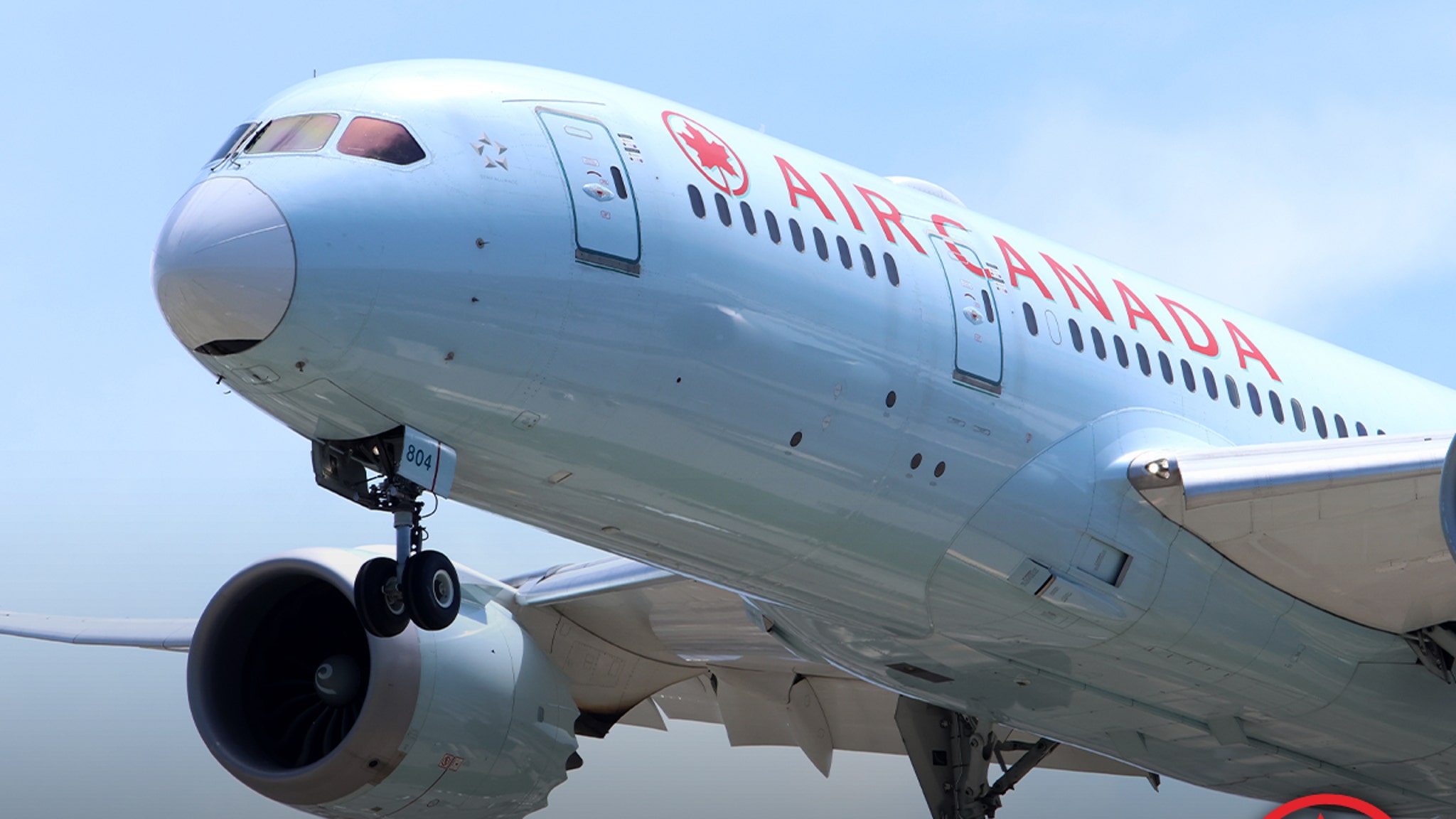 Mid-Air Mayhem: Pilot Emergency Sparks Passenger Intervention!