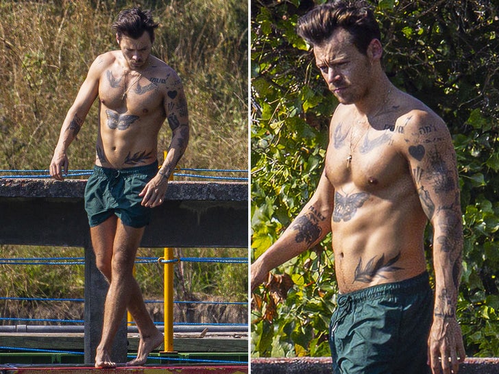 Harry Styles Shows Off Ripped Body in English Duck Pond