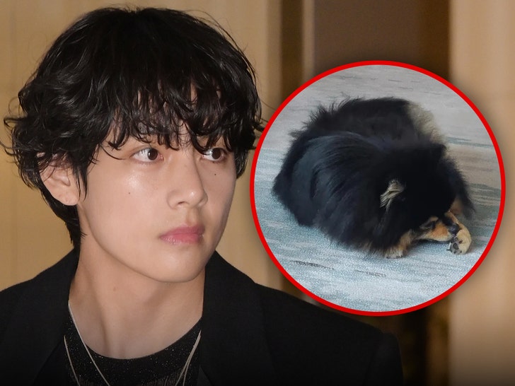 BTS Star V Reveals His Beloved Pet Dog Yeontan Has Died