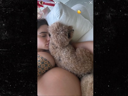 olivia culpo pregnant belly and dog instagram