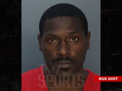 antonio-brown-mug-shot-miami-dade-1