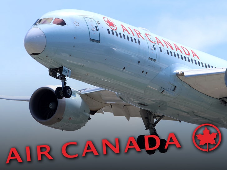 air canada emergency landing getty 1