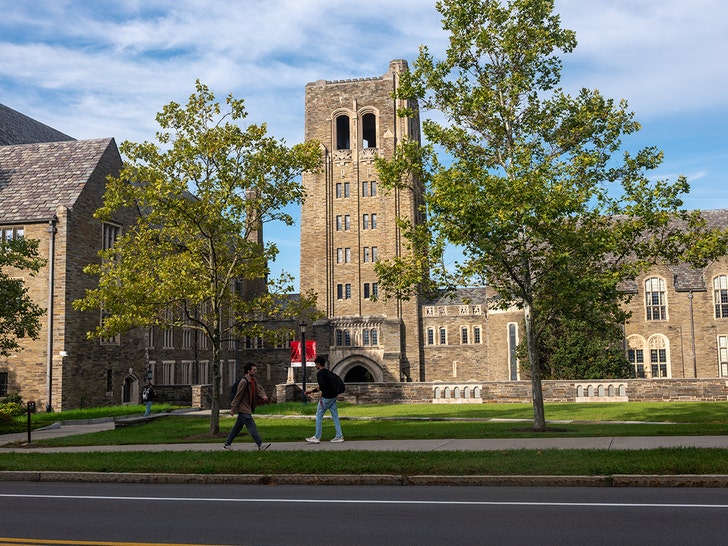 cornell universtiy getty